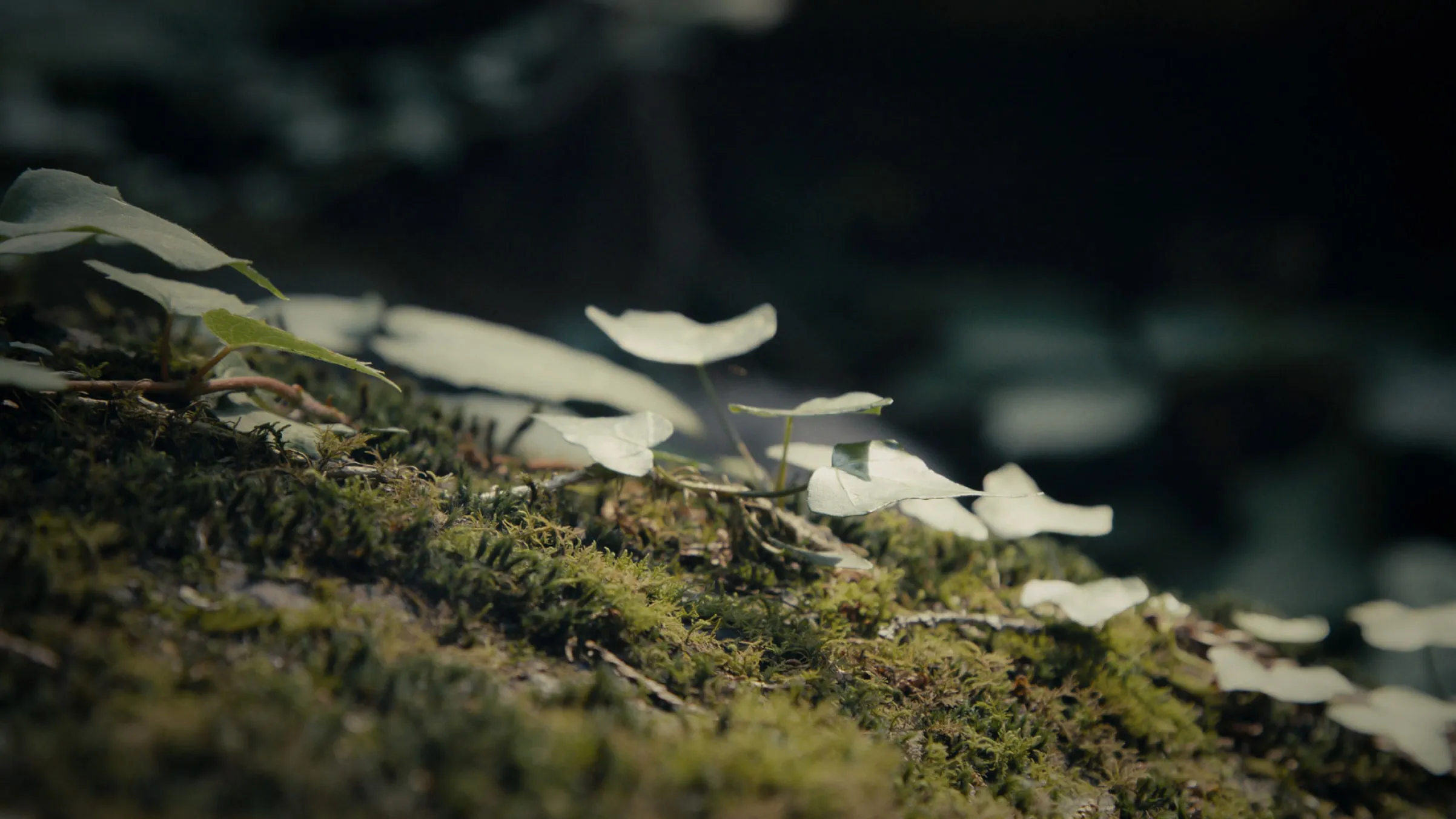 Sustainability in supply chain